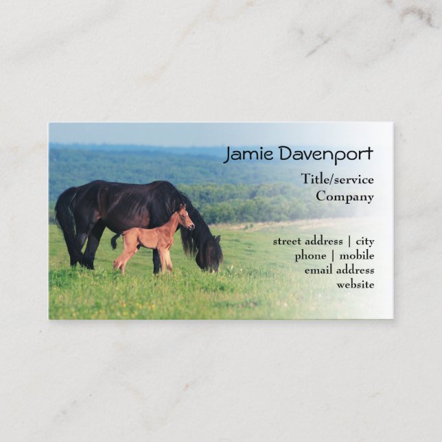 Horse and Foal on a meadow Business Card (Front)