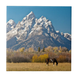 Horse and Grand Tetons, Moose Head Ranch Tile
