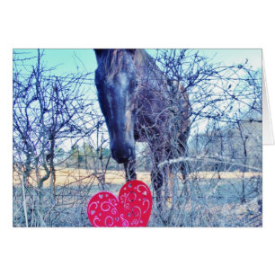 Horse and  Heart