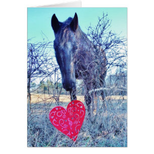 Horse and  Heart