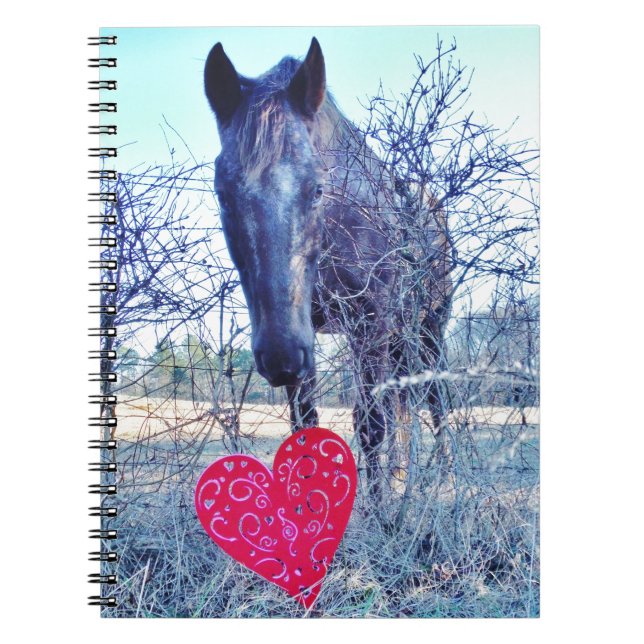 Horse and  Heart Notebook (Front)