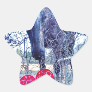 Horse and  Heart Star Sticker