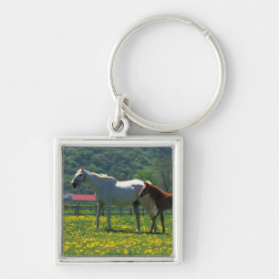 Horse and her foal standing in a field key ring