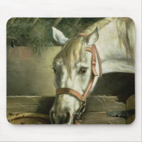 Horse and kittens, 1890