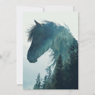 Horse and Landscape Photography Cards