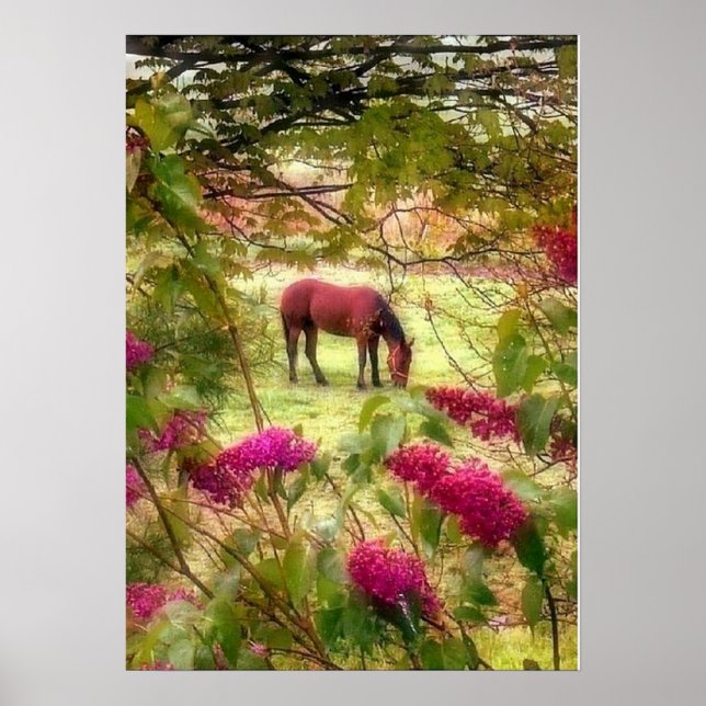 Horse and Lilacs Poster (Front)