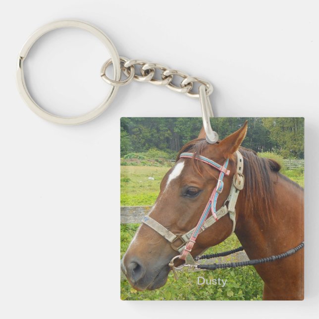 Horse and Owl Key Chain (Front)