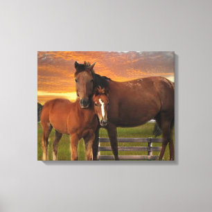 Horse and pony canvas print
