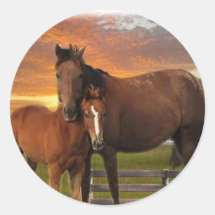 Horse and pony classic round sticker