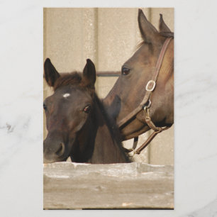 Horse and Pony Stationery