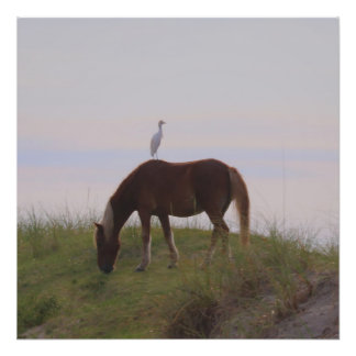 Horse and rider in the dunes photo print