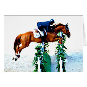 Horse and Rider in the Jumper Ring