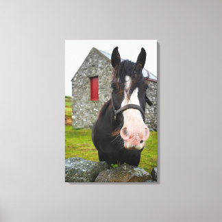 Horse and stone barn in rural England Canvas Print