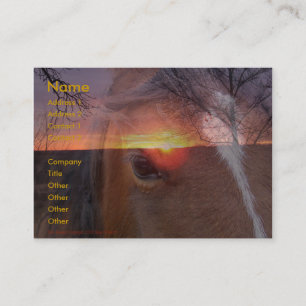 Horse and Sunrise Business Card