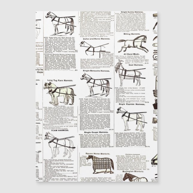 Horse Antique Advertising Newspaper Art (Front)