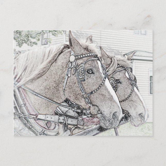 Horse Art 2010 3 Postcard (Front)
