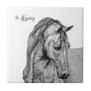 Horse art graphic pencil drawing black and white tile