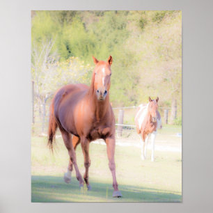 Horse Art Poster