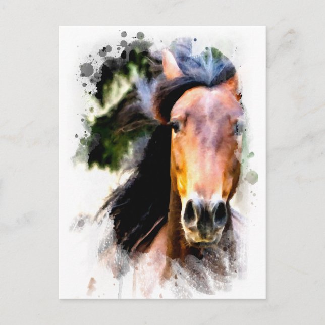 *~ Horse Artistic  Painting Equine AR22 Artsy Postcard (Front)