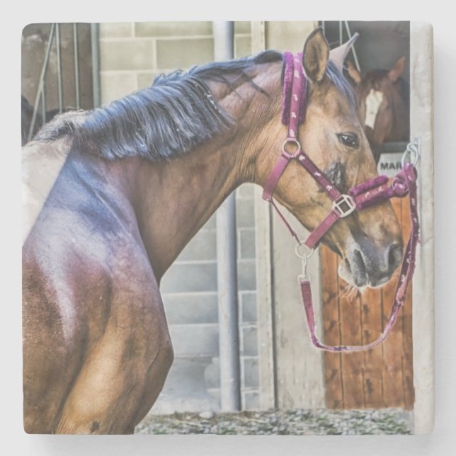 Horse at Barn Stone Coaster (Front)