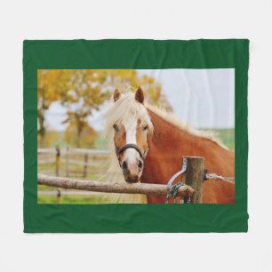 Horse At Gate Fleece Blanket