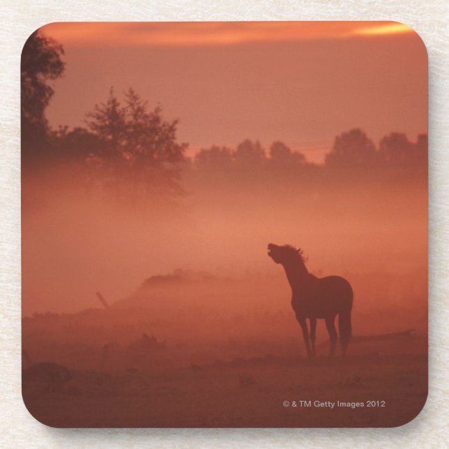 Horse at sunrise coaster (Front)