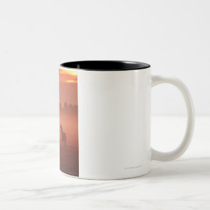 Horse at sunrise Two-Tone coffee mug