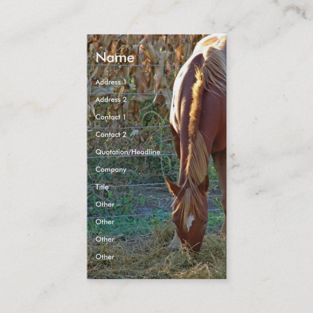 Horse at Sunset Business Card (Front)