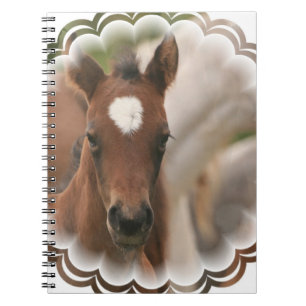 Horse Baby Notebook