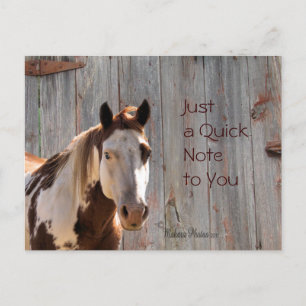 Horse & Barnwood Postcard- cutomize Postcard