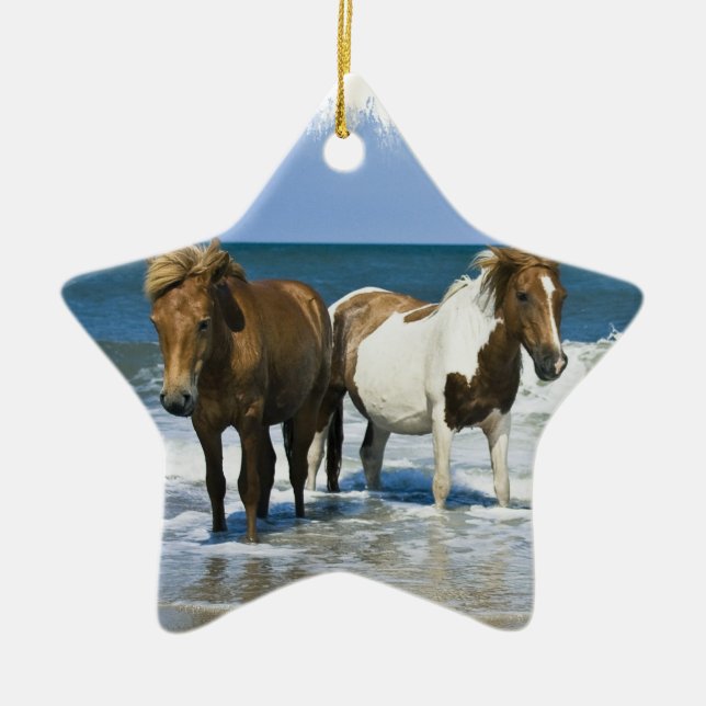 Horse Beach Ornament (Front)