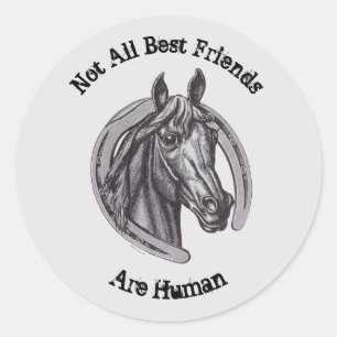 Horse Best Friends Vintage Sketch Barn Animal Classic Round Sticker