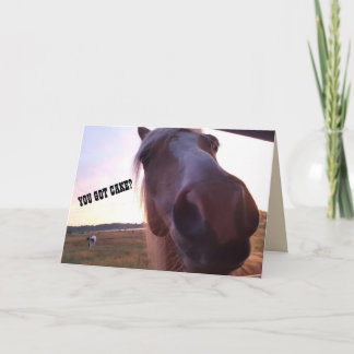 Horse Birthday Card