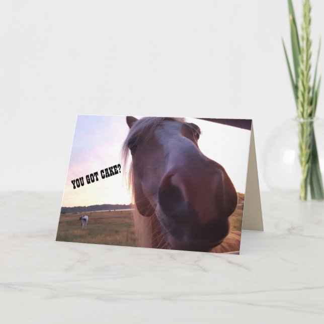 Horse Birthday Card (Front)