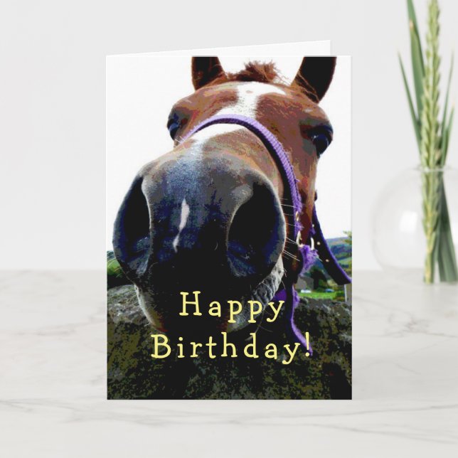 Horse  Birthday card (Front)