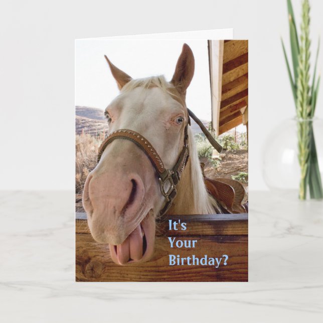 Horse Birthday Card (Front)