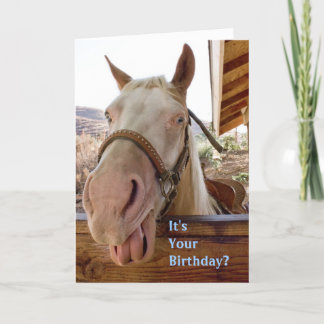 Horse Birthday Card