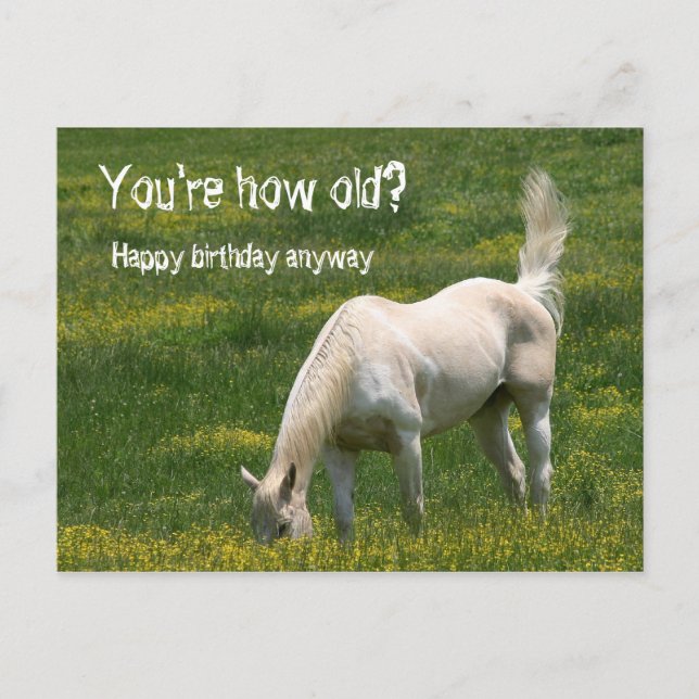 Horse Birthday Postcard (Front)