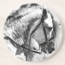 Horse black and white art photograph