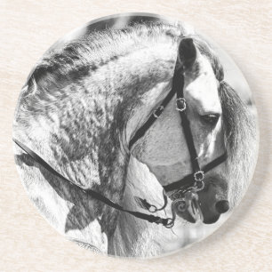 Horse black and white art photograph coaster