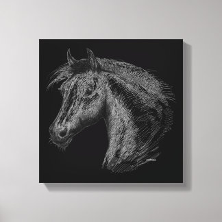 Horse:  Black Canvas Print