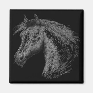 Horse:  Black Magnet