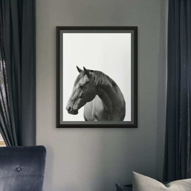 Horse  Black White  Style Modern Poster (Creator Uploaded)