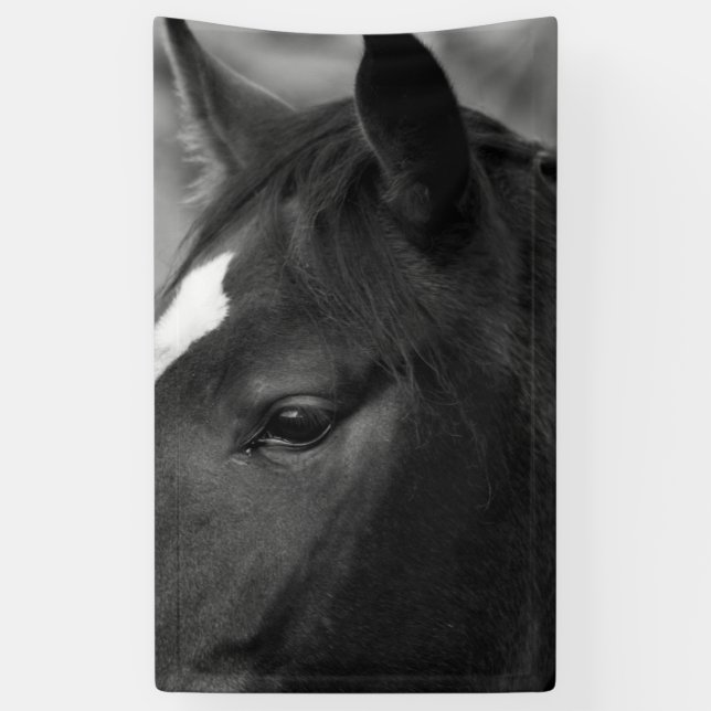 Horse bnrcnm banner (Vertical)