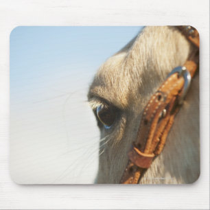 Horse bridle mouse pad