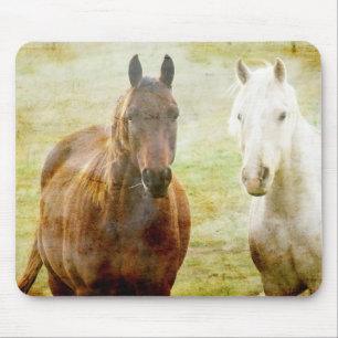 Horse Buddies Mouse Pad