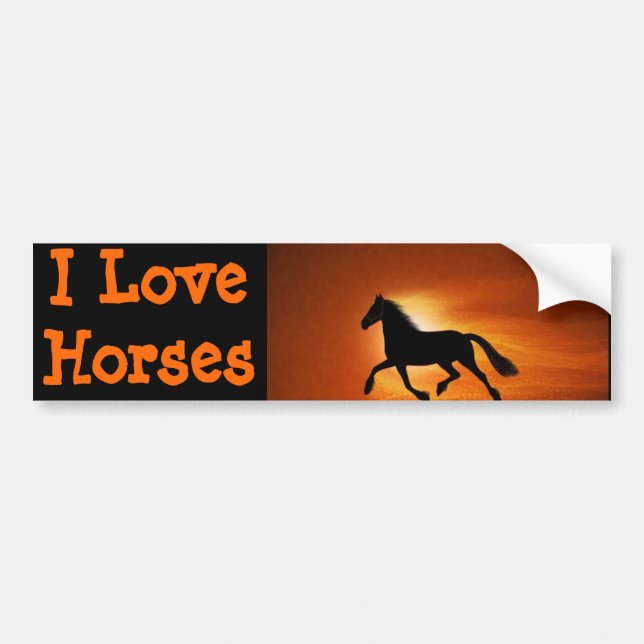 horse bumper sticker (Front)