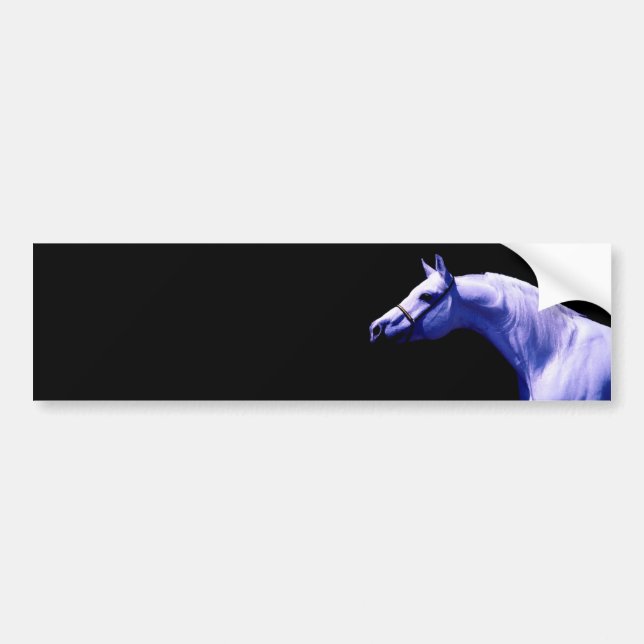 Horse Bumper Sticker (Front)
