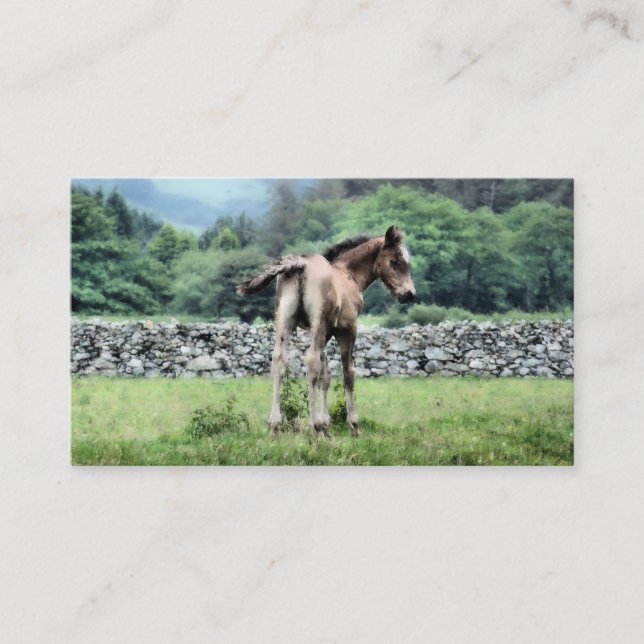 HORSE BUSINESS CARD (Front)