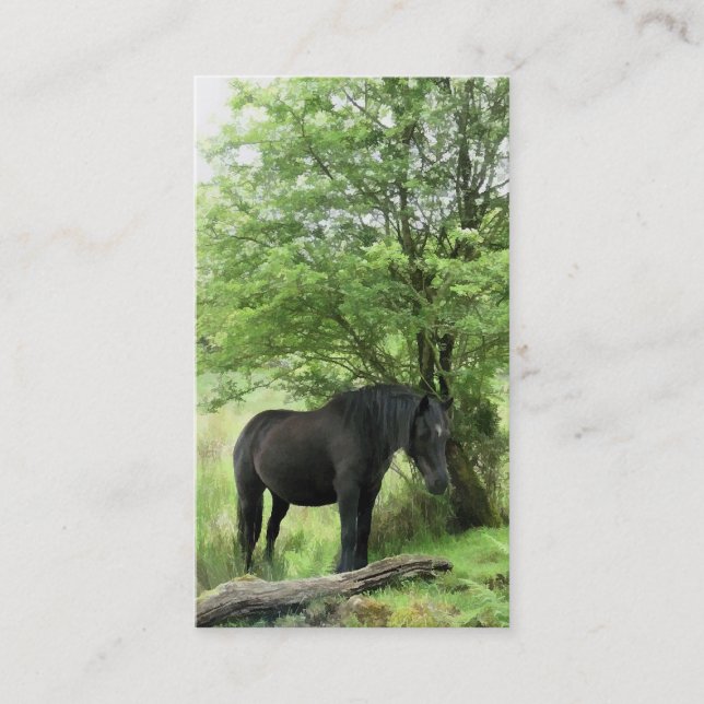 HORSE BUSINESS CARD (Front)